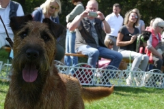 Hallo! Ich bin dabei...