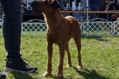 huendin2