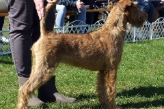 vde3