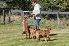 Toben mit Meike