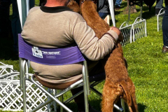 VIP