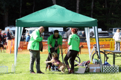 Team der Hundeschule TEAMWORK