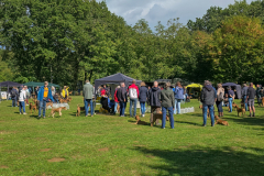 Menschen und Irish Terrier