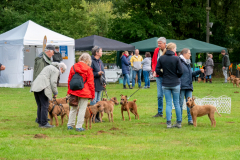Menschen und Irish Terrier