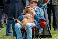 Menschen und Irish Terrier-