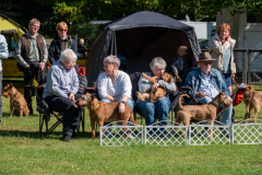 Menschen und Irish Terrier