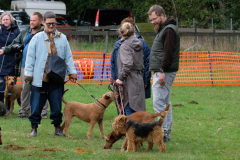 Menschen und Irish Terrier