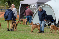 Menschen und Irish Terrier