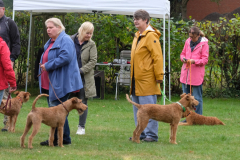 Menschen und Irish Terrier