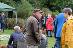 Menschen und Irish Terrier