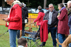 Menschen und Irish Terrier