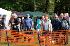 Menschen und Irish Terrier