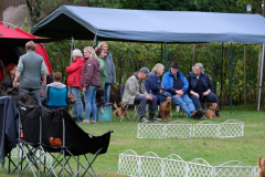 Menschen und Irish Terrier