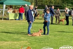 Dorsten 2021 - Irish Terrier Leute