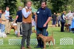 Dorsten 2021 - Interessante Moderation, schöne Irish Terrier Dame