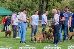 Dorsten 2021 - Angeregte Unterhaltung