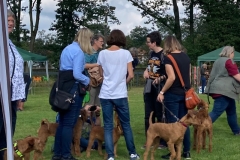 Dorsten 2021 - Der Irish ist immer dabei