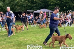 Dorsten 2021 - Präsentation im Ring