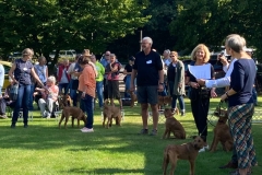 Dorsten 2021 - ein großer Wurf