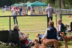 Dorsten 2021 - Irish People