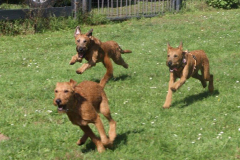 Und wieder Gas geben