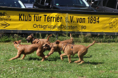 Auch im Freilauf war was los...