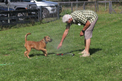gegen die Hitze hilt klates klares Wasser