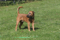 Da ist er abgekühlt