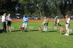 noch ein schöner Wurf