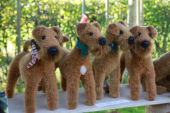 Irish Terrier