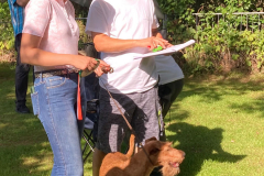 Abstimmung für das Photoshooting