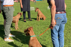 Unser Besuch aus Irland